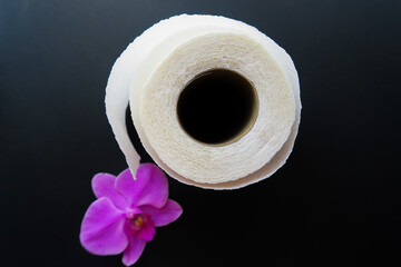 roll of paper isolated on black
