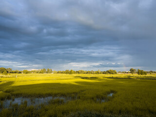 Obraz premium rice field and rainbow