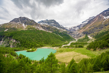 Naklejka na ściany i meble Scenery spring season perspective from Bernina Express red tourist train that goes high up in the Swiss Alps. Cloudy sky and green hills, crystal blue waters lake
