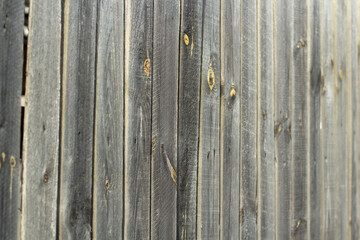 A wall of planks. Painted board texture.