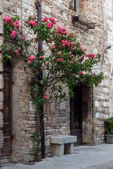Mediterranean historical old stone bench surrounded by romantic pink roses. Fairy tale theme. Assisi, Umbria, Italy.
