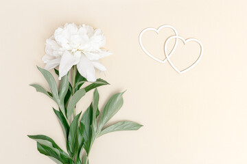 White peony and small hearts minimal pastel greeting card. Fresh fragrant peony flower with green leaves on beige colored background.