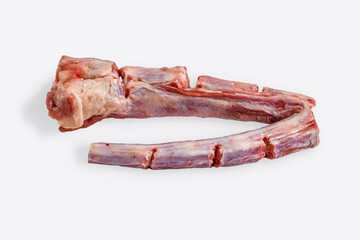 Whole fresh raw beef tail chopped into pieces on white background