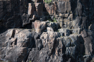 Fototapeta na wymiar Mountain rock wall in the forest.