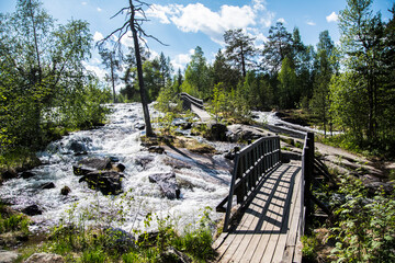 Park in the forest on a mountain with bridged gaps. 