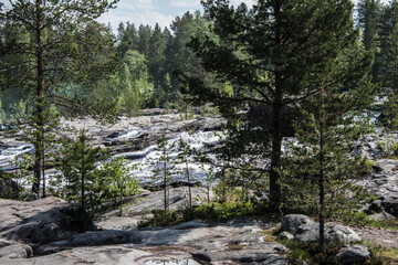 Park in the forest on a mountain.