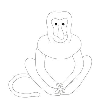 El mono narigudo sentado con los ojos abiertos. Ilustraci&oacute;n  en blanco y negro.