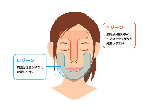 顔の皮脂分泌の多い部位と少ない部位イラスト (TゾーンとUゾーン)
