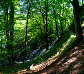“Plitvice” waterfall in HDR Croatia Europe National Park
