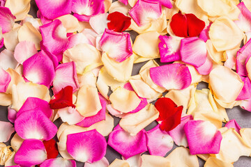 Fresh rose petals scattered on black stone background