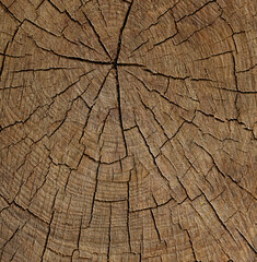 Fototapeta premium Cracked dark wooden background.The surface of brown wood texture