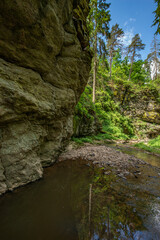 Obraz premium a big rock, river and green forest