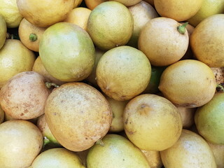 sweet citrus fruit orange for sale in the market