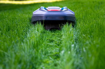 Robot mower cutting high grass. - obrazy, fototapety, plakaty