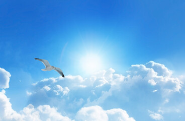 Bird soaring high above the clouds in a heavenly deep blue sky with fluffy clouds.