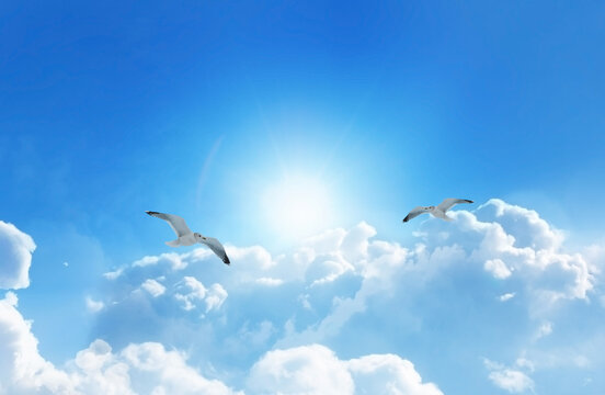 Two Birds soaring high above the clouds in a heavenly deep blue sky with fluffy clouds.