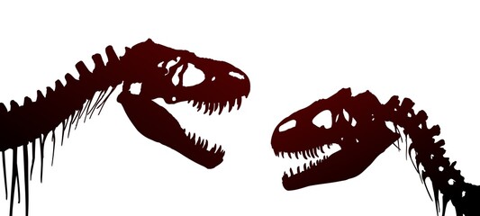 The Skeletons of ancient big dinosaurs.