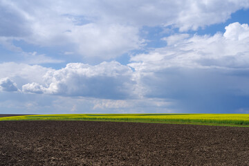 Spring agricultural landscape, Podilski Tovtry nature reserve, Podilia region, South-Western Ukraine