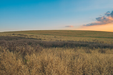 Fototapeta na wymiar Colorful sunset over farm field