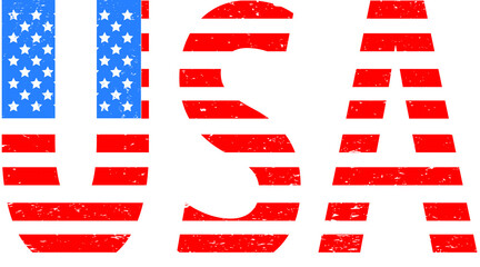 Fototapeta na wymiar USA flag in grunge style . Vector illustration