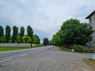 Strada con alberi