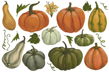 pumpkins clipart, big set of autumn harvest with vegetables, flowers and leaves. hand drawing with oil digital brushes on canvas texture