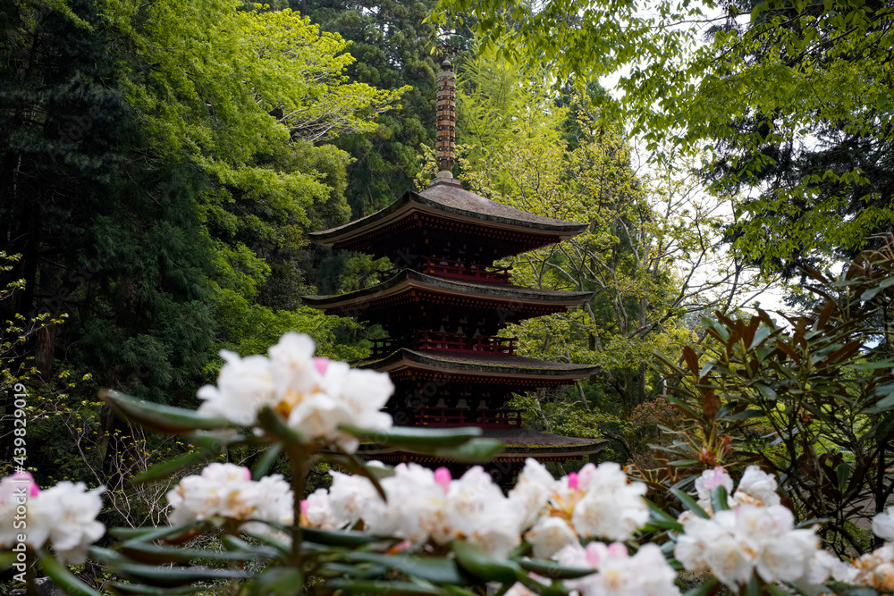 Poster murouji temple in nara.