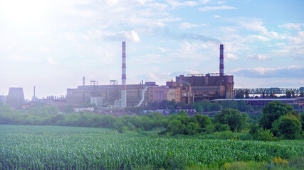 Fototapeta na wymiar Factory and green field with agricultural plants. 