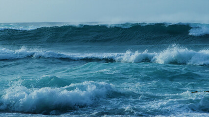 Ocean is shaking. Any surfer would not miss a wave like this