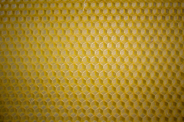 Close-up of a textured honeycomb
