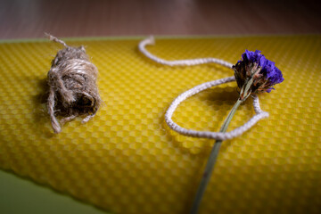 Close-up of a textured honeycomb with purple flower