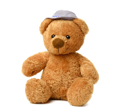 brown teddy bear in a felt hat sits on a white isolated background