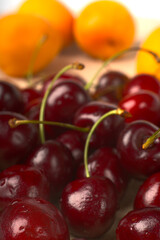 Red juicy cherries and apricots in the background.