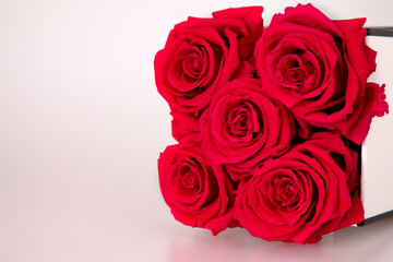 Rote infinity Rosen auf dem weißen Hintergrund