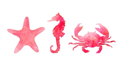 Set of three aquarelle red sea animals on white background hand-drawn digital illustration