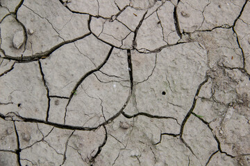 The texture from cracked dry earth.  Cracks against background