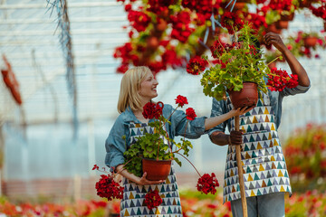 Two flower greenhouse workers at work