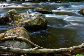 The rapids of a swift forest river with boulders, hidden in the shadow of the forest, where only a few rays of the evening sun fall.