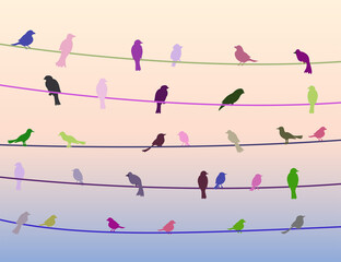 Colorful birds icons on wire in dusk time