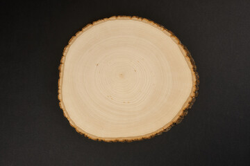 Round slab of wood with bark on back background.                               