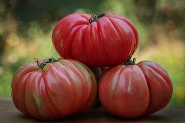 Pomodori cuore di bue su sfondo bokeh