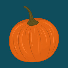 Cute bright pumpkin. Vector illustration.