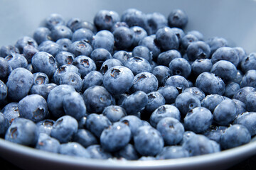 Fresh blueberry background with selective focus.  Macro texture. Close up shoot. Summer healthy food.