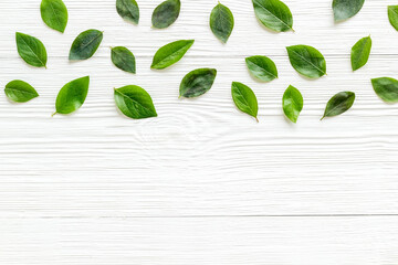 Floral pattern of green leaf and branches. Top view