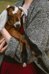 A beautiful woman in a long coat and a red dress holds a little goat in her arms.