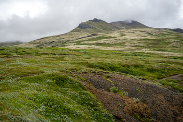 Fototapeta na wymiar Majestic volcanic landscape covered with moss in Iceland highlands