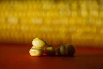 Corn grains close up against the cob of corn