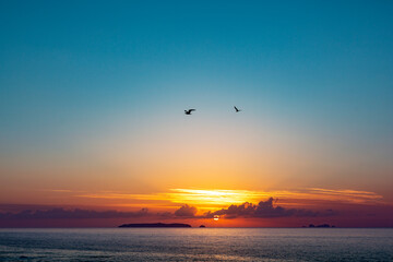 Fototapeta na wymiar Sunset with Birds and Ocean 