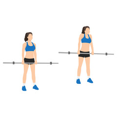 Fototapeta na wymiar Woman doing Barbell shoulder shrugs exercise. Flat vector illustration isolated on white background