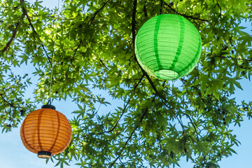 Colorful paper lanterns hanging from a tree.